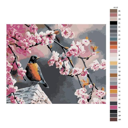 Návod pro malování podle čísel Pták a sakura