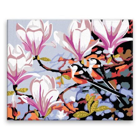 Malování podle čísel Ptáci v magnolii