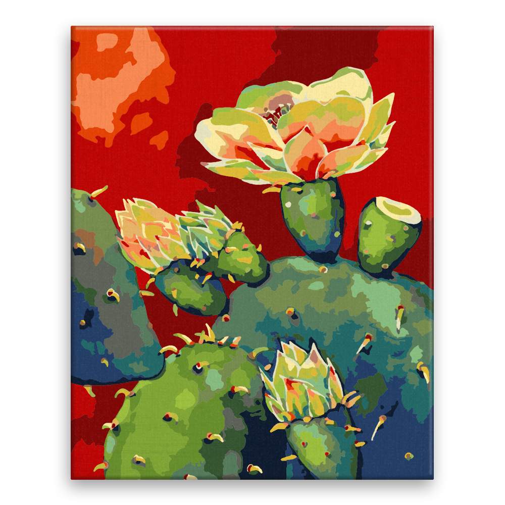 Malování podle čísel Kvetoucí kaktus