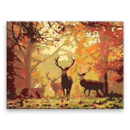 Malování podle čísel Podzim s jeleny
