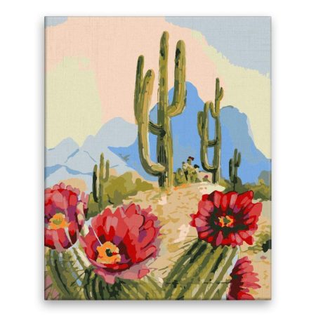 Malování podle čísel Mexický kaktus