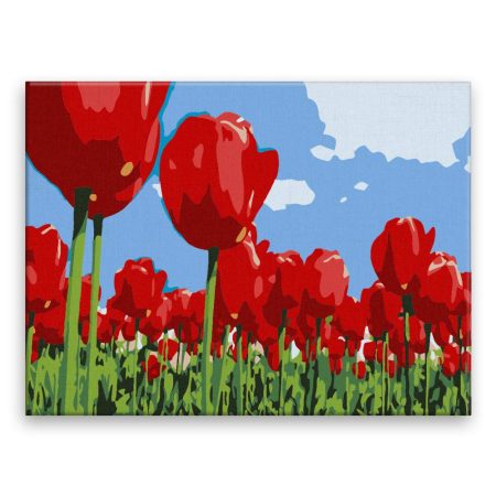 Malování podle čísel Rudé tulipány