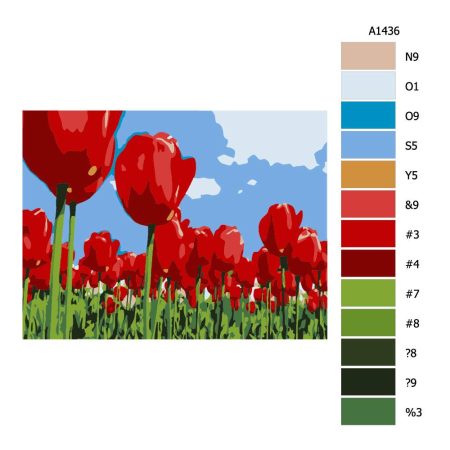 Návod pro malování podle čísel Rudé tulipány