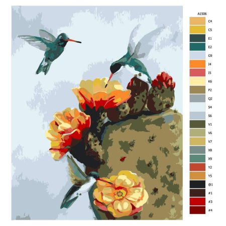 Návod pro malování podle čísel Kolibříci a kaktus
