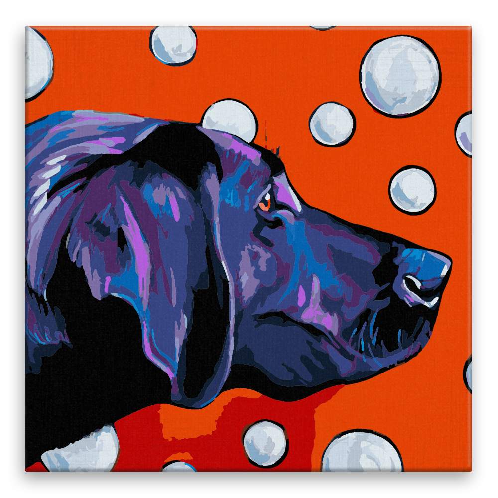 Malování podle čísel Labrador s bublinami