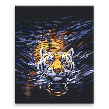 Malování podle čísel Plavající tygr