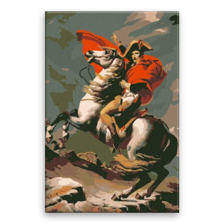 Malování podle čísel Napoleon v boji