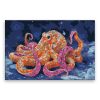 Malování podle čísel Kouzelná chobotnice