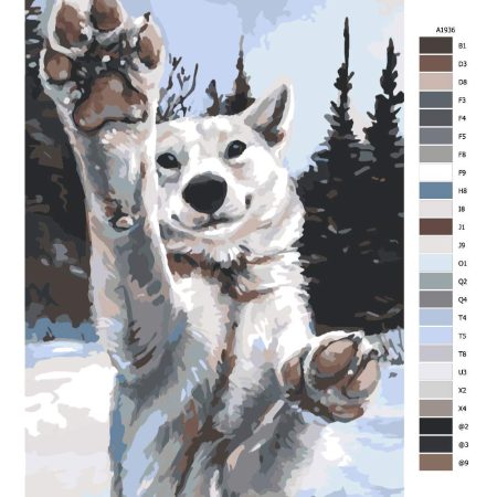 Návod pro malování podle čísel Tlapy vlka