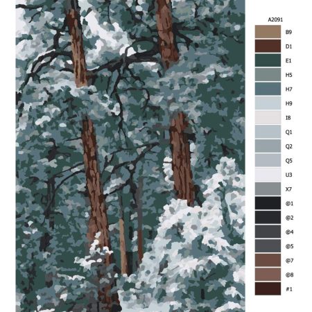 Návod pro malování podle čísel Kanadské borovice