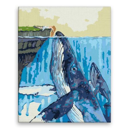 Malování podle čísel Přátelství s velrybou