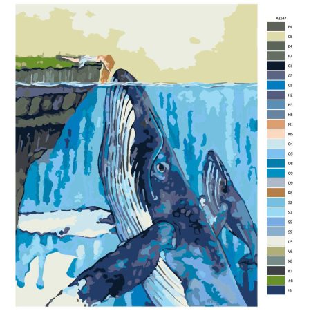 Návod pro malování podle čísel Přátelství s velrybou