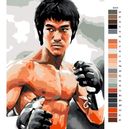 Návod pro malování podle čísel Bruce Lee 02