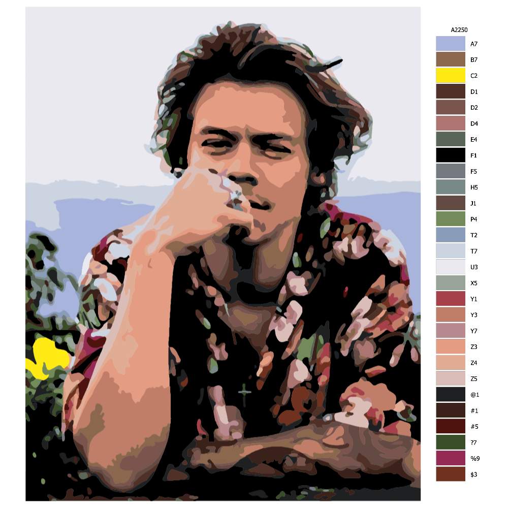 Malování podle čísel Harry Styles 04