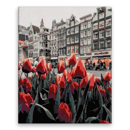 Malování podle čísel Tulipány v popředí