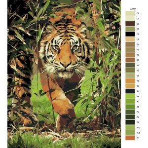 Návod pro malování podle čísel Číhající tygr