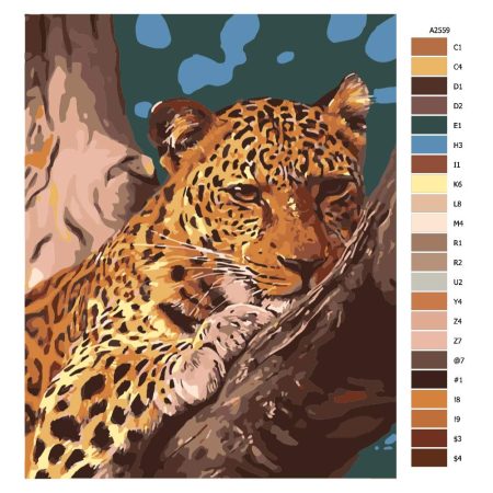 Návod pro malování podle čísel Gepard