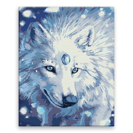 Malování podle čísel Magický vlk