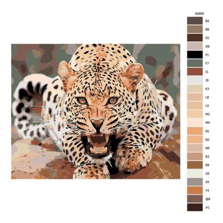 Návod pro malování podle čísel Rozzuřený leopard
