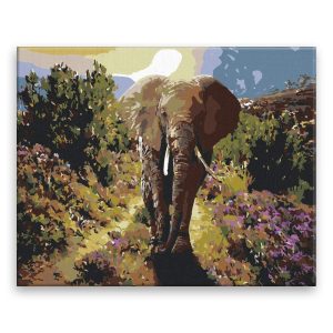 Malování podle čísel Slon při východu