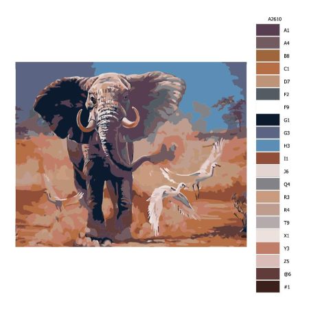 Návod pro malování podle čísel Slon v poušti