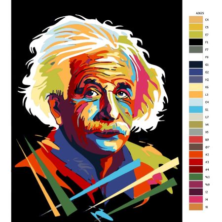 Návod pro malování podle čísel Albert Einstein 01