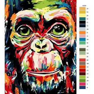 Návod pro malování podle čísel Barevná opice