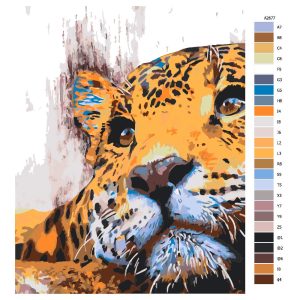 Návod pro malování podle čísel Odpočívající jaguár