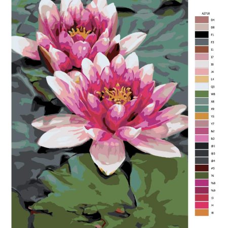 Návod pro malování podle čísel Lotusové květiny
