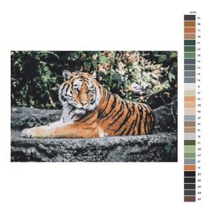 Návod pro malování podle čísel Ospalý tygr