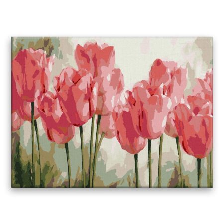Malování podle čísel Růžové tulipány