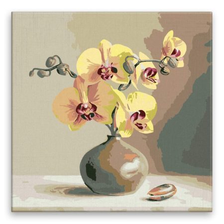 Malování podle čísel Orchidej