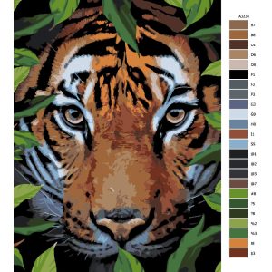 Návod pro malování podle čísel Tygr na lovu
