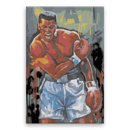 Malování podle čísel Muhammad Ali