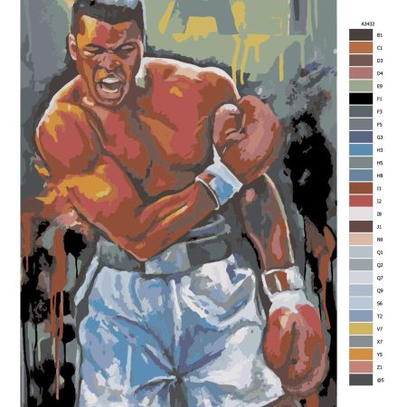 Návod pro malování podle čísel Muhammad Ali