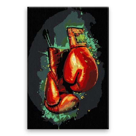 Malování podle čísel Boxerské rukavice