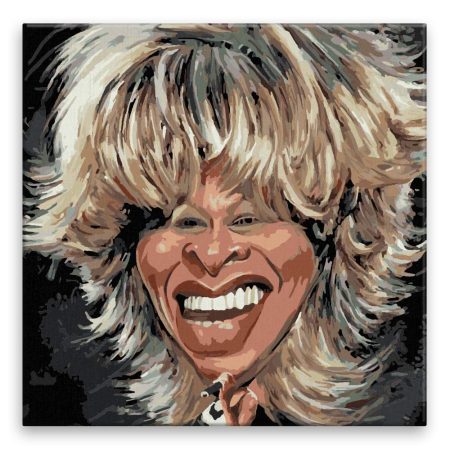 Malování podle čísel Tina Turner