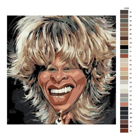 Návod pro malování podle čísel Tina Turner