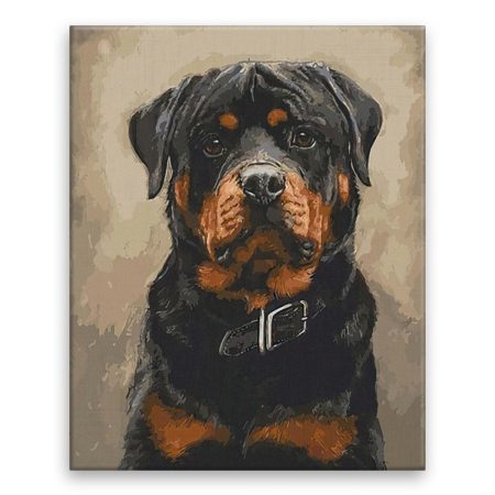 Fotoobraz na plátně Pes s obojkem