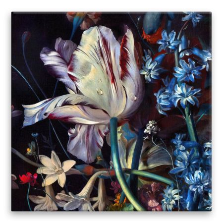 Fotoobraz na plátně Orosený tulipan