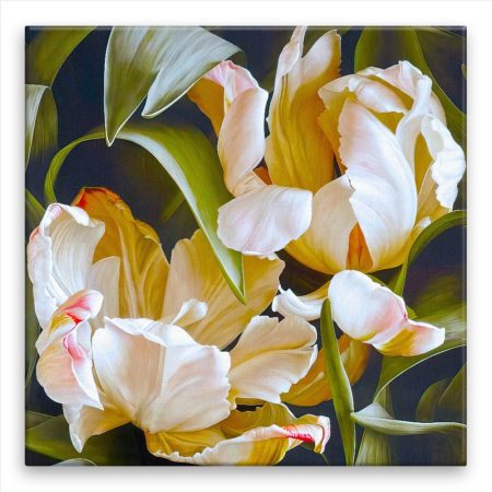 Fotoobraz na plátně Dva okrakrasné tulipány v odkvětu
