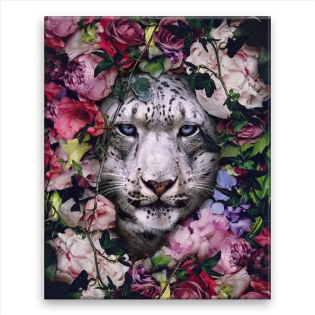 Fotoobraz na plátně Bílý tygr v květinách