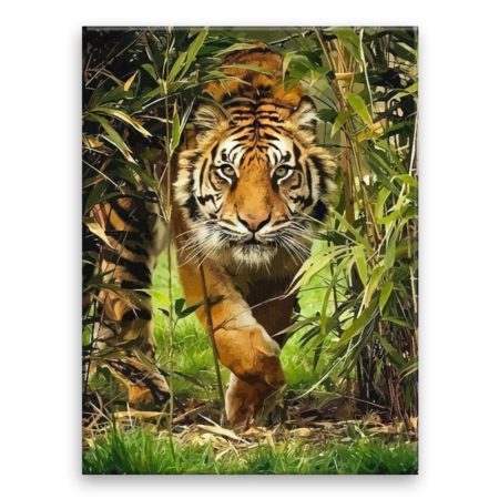 Fotoobraz na plátně Číhající tygr