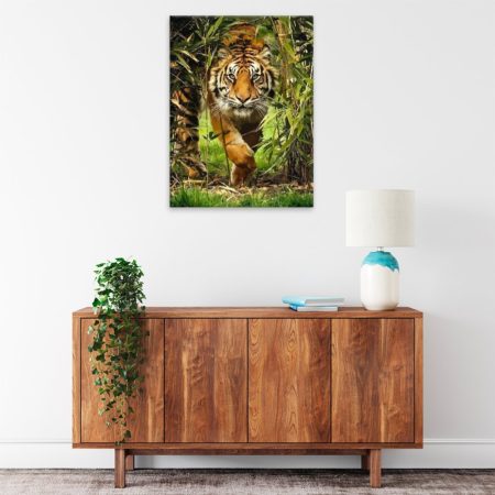 Obraz na plátně Číhající tygr