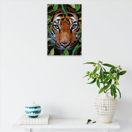 Obraz na plátně Tygr na lovu